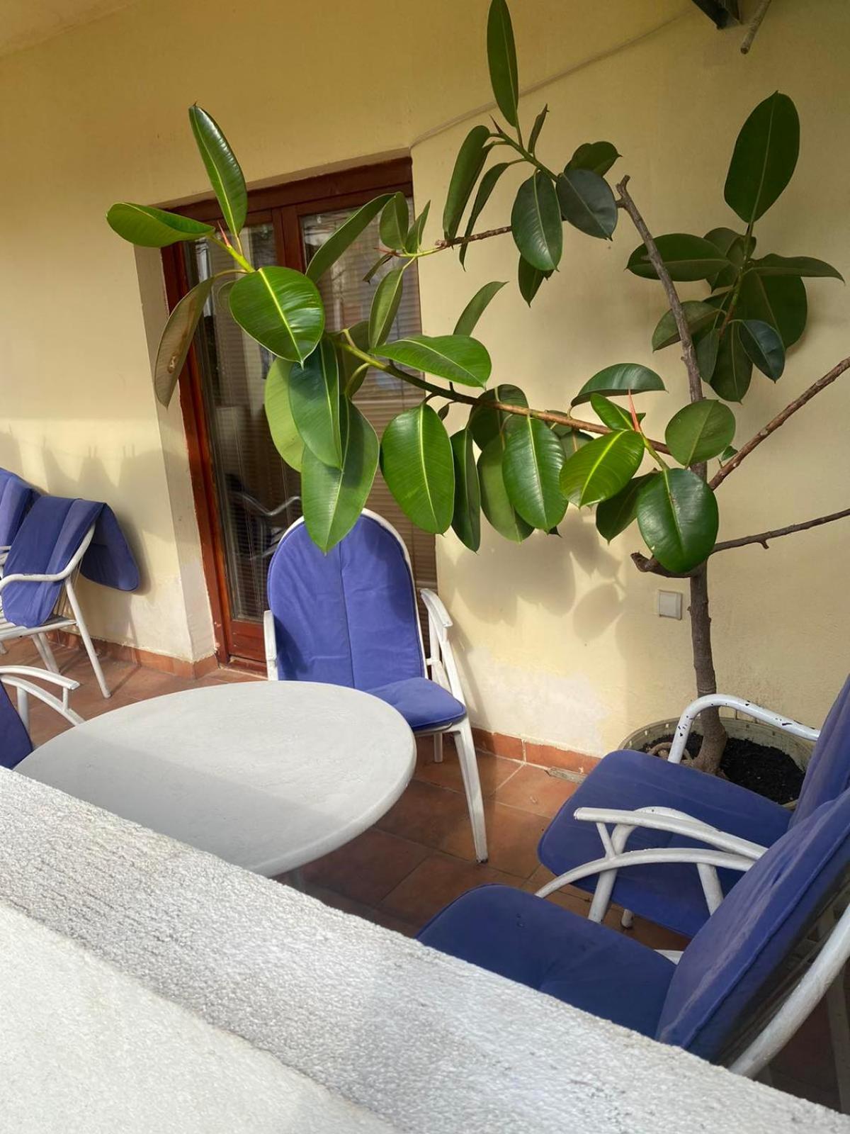Apartmani Zelenika تْشيرسيك نوفي الغرفة الصورة