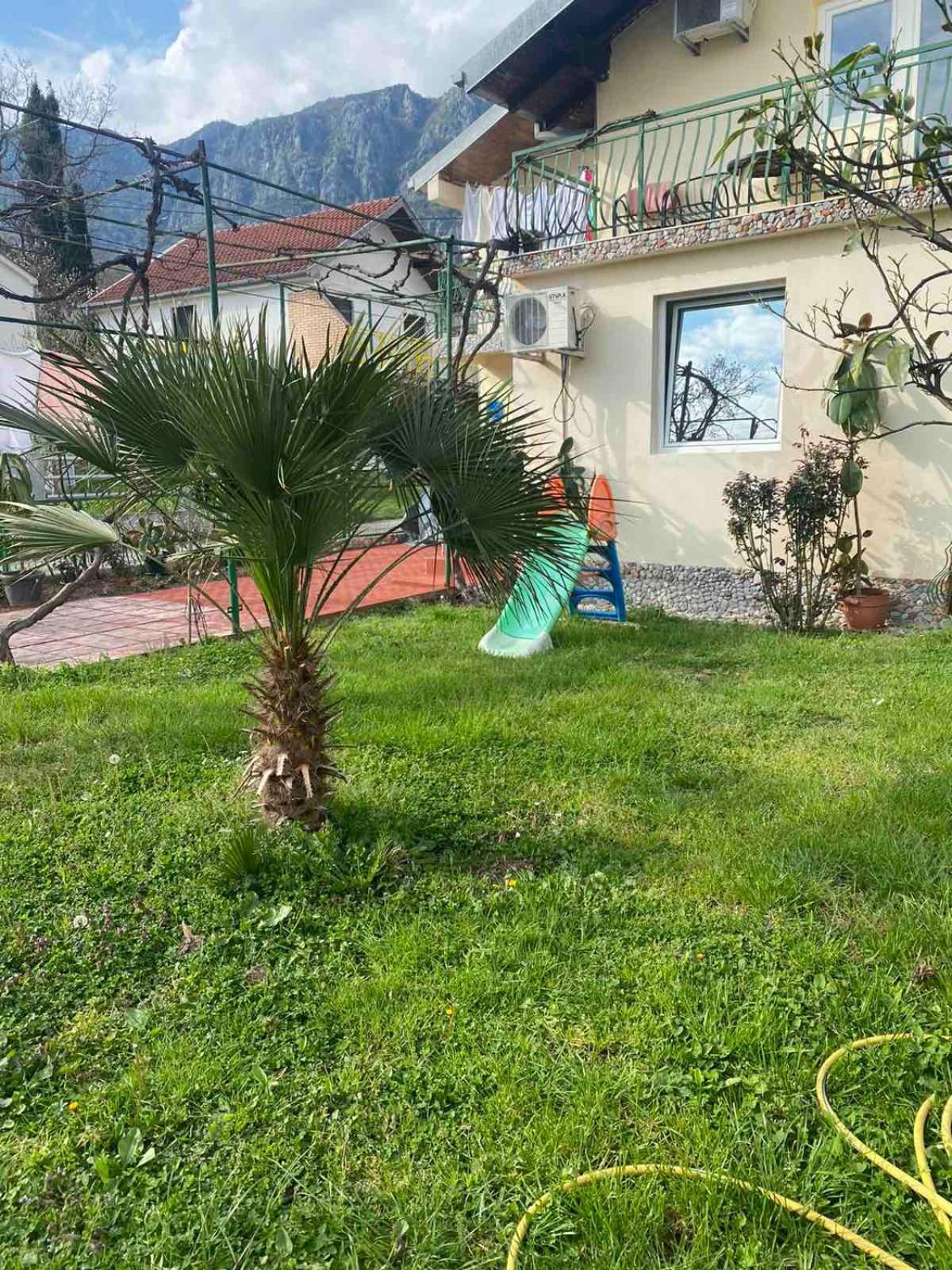 Apartmani Zelenika تْشيرسيك نوفي الغرفة الصورة