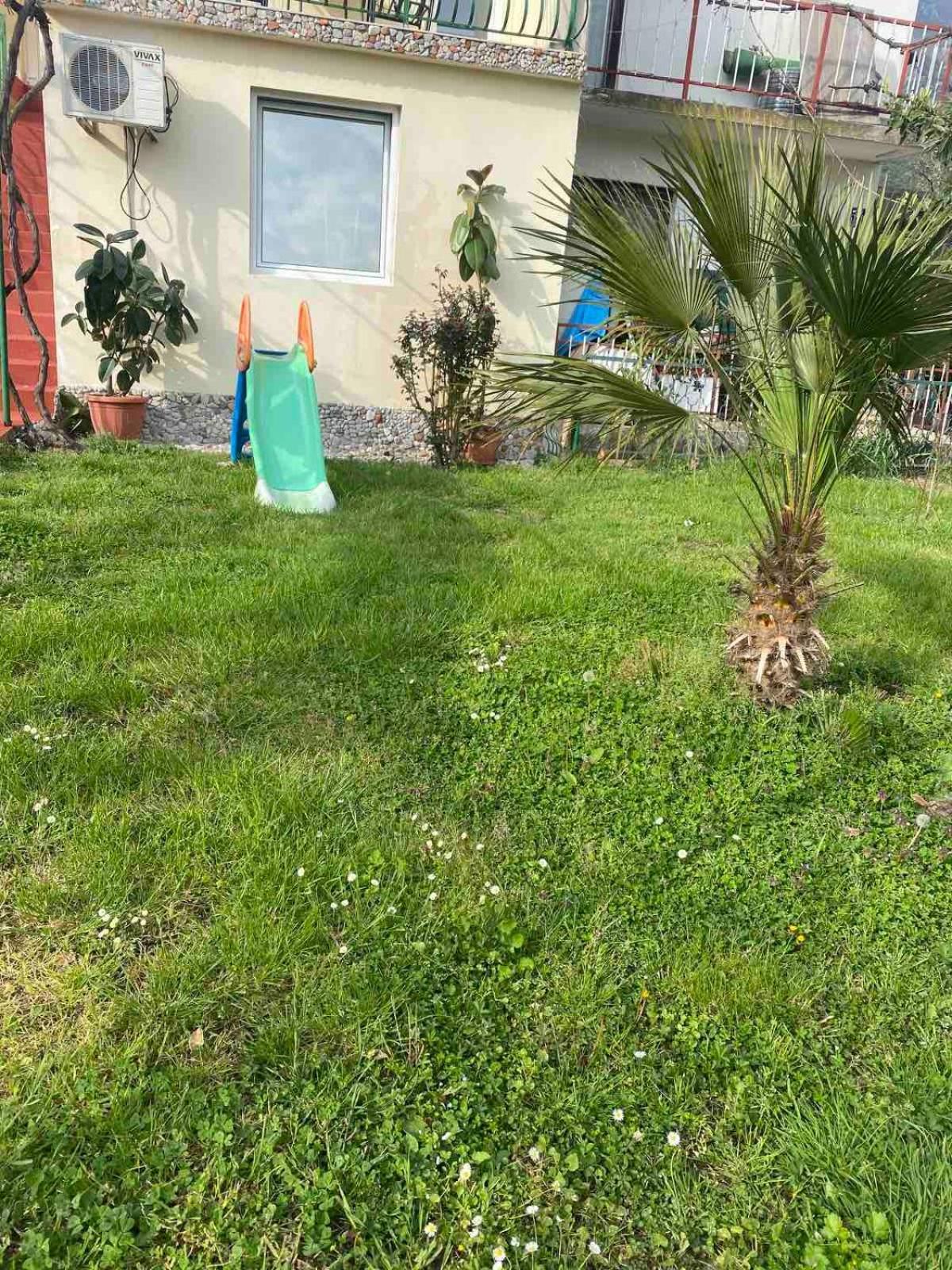 Apartmani Zelenika تْشيرسيك نوفي الغرفة الصورة